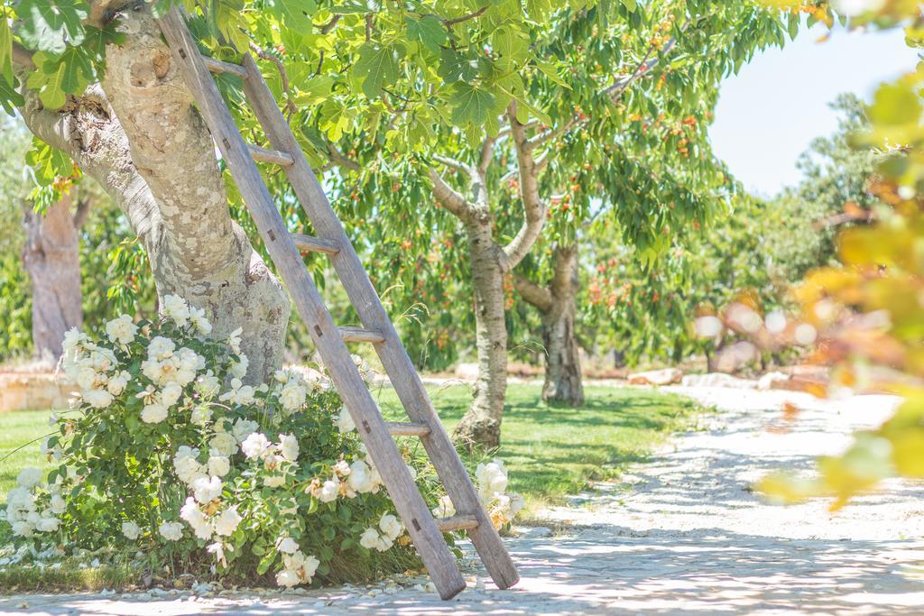 Masseria Rosa Trulli Relais Alberobello Exterior foto